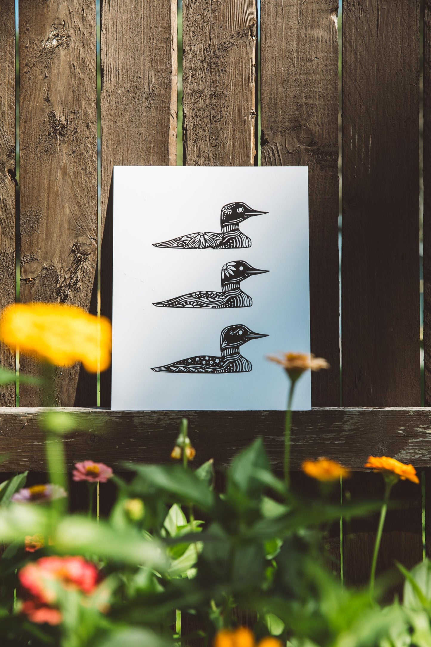 Common Loon - Cabin Art - Cabin Decor - Minnesota Art - Nordic Art - Loon Art