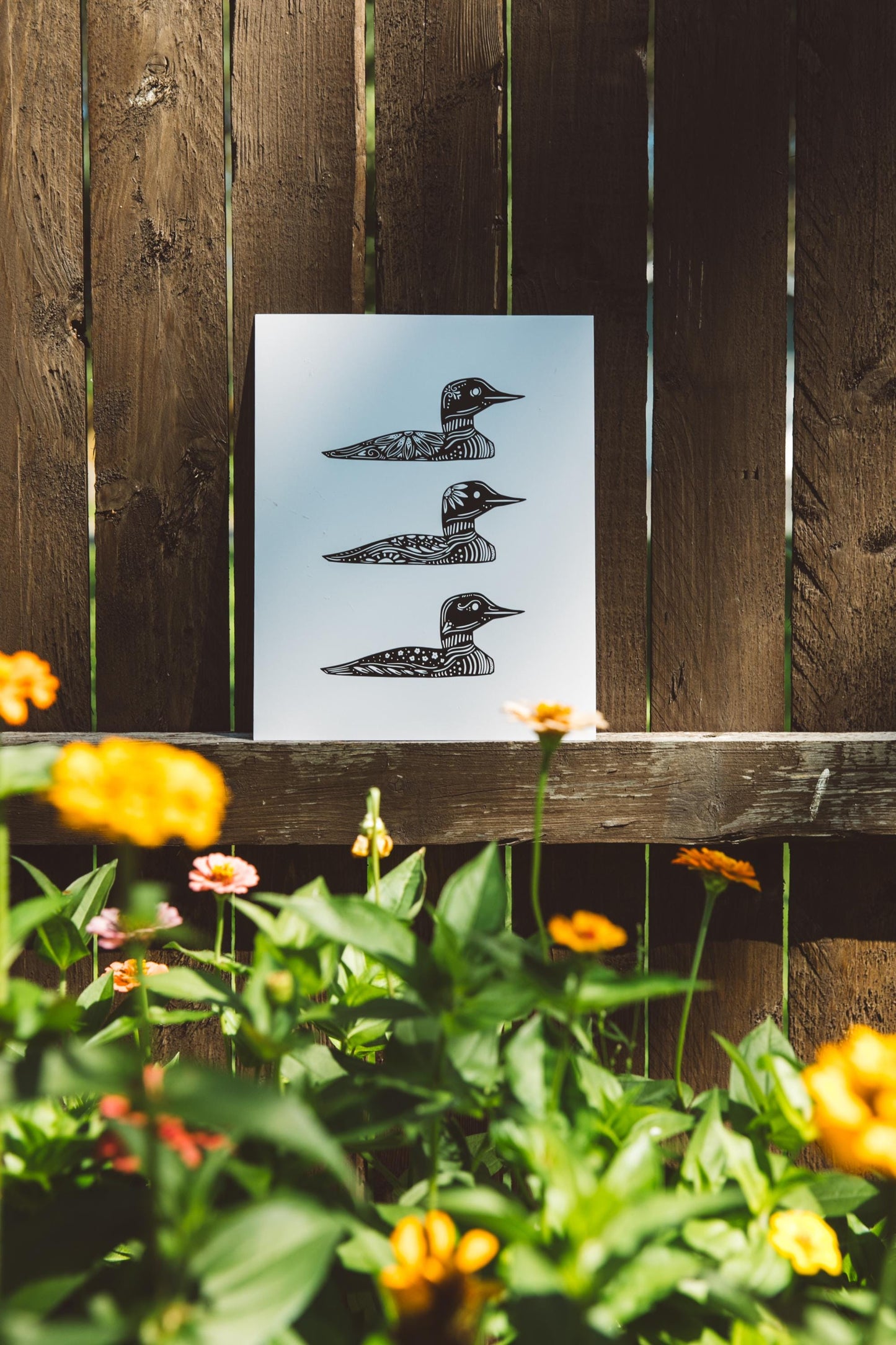 Common Loon - Cabin Art - Cabin Decor - Minnesota Art - Nordic Art - Loon Art