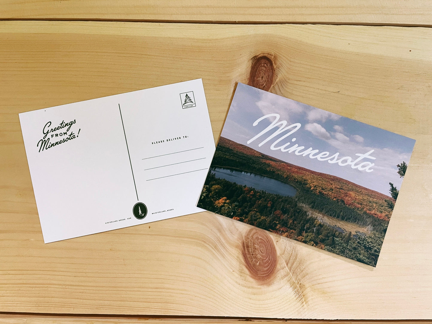 Minnesota Postcard - Gift - Souvenir