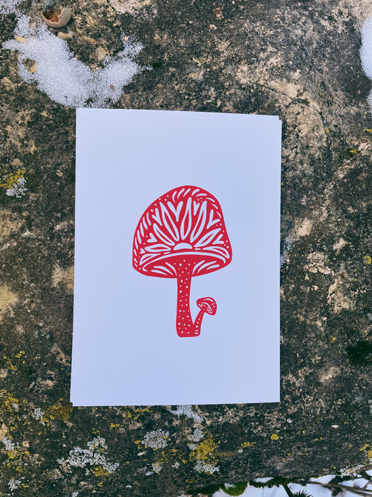 Red Mushroom Art Print