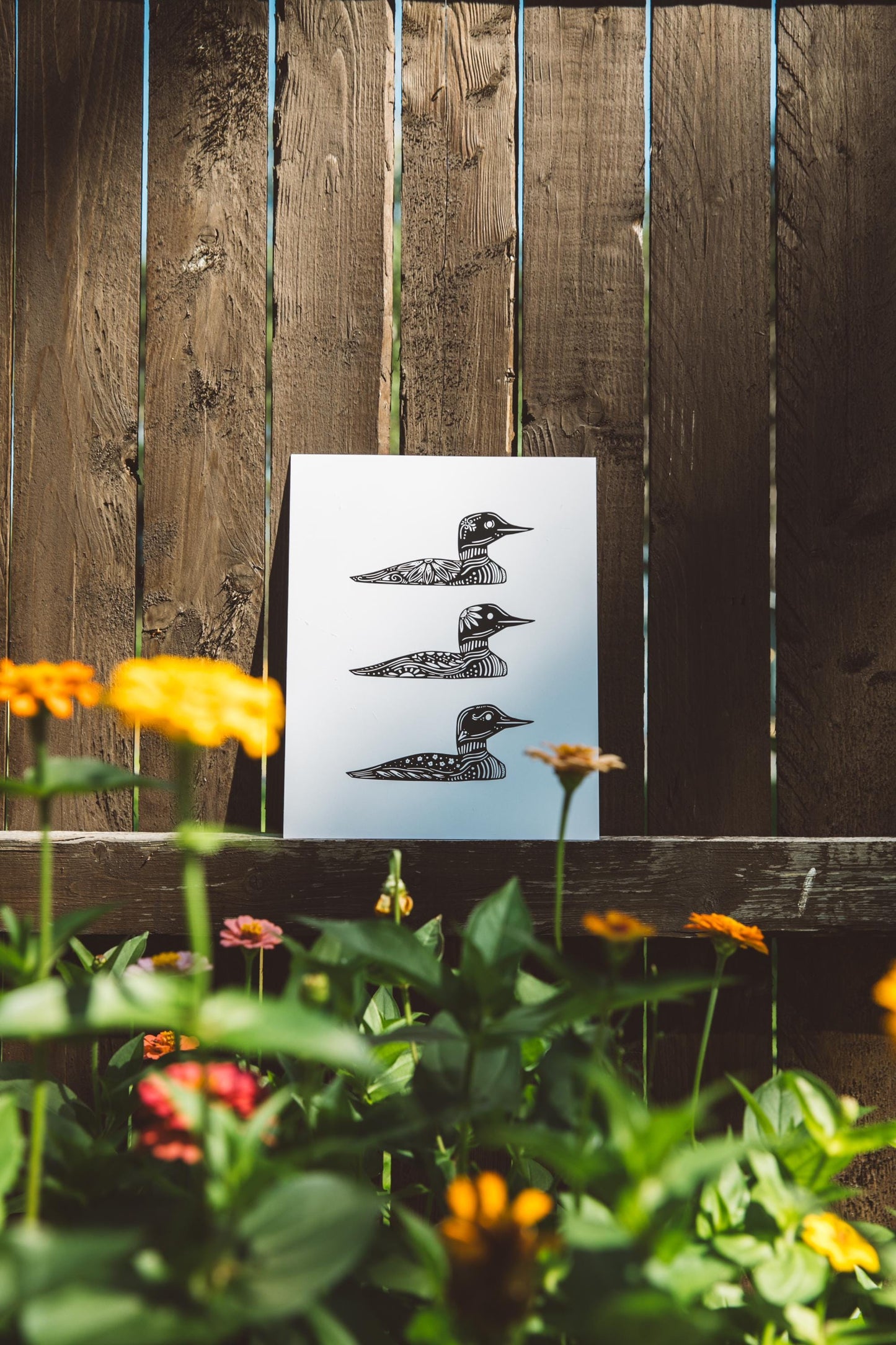 Common Loon - Cabin Art - Cabin Decor - Minnesota Art - Nordic Art - Loon Art