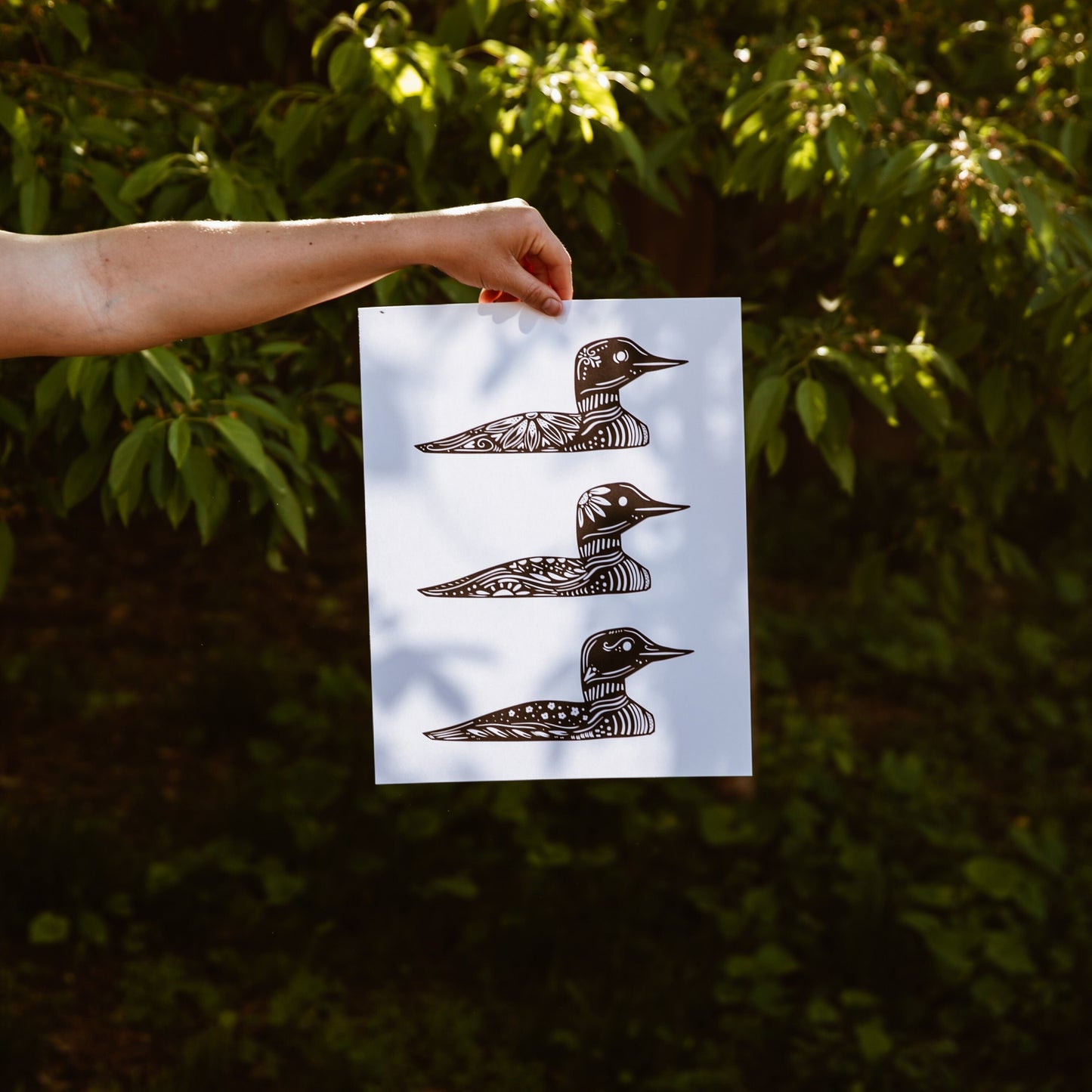 Common Loon - Cabin Art - Cabin Decor - Minnesota Art - Nordic Art - Loon Art
