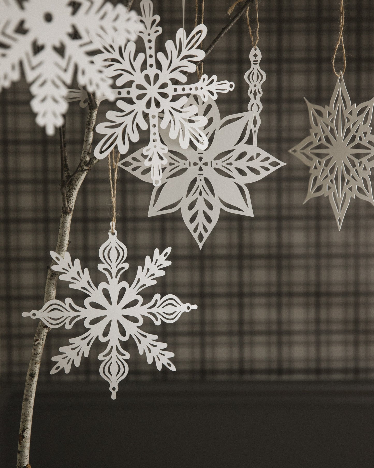 Paper Snowflakes set of 5 Holiday Decor