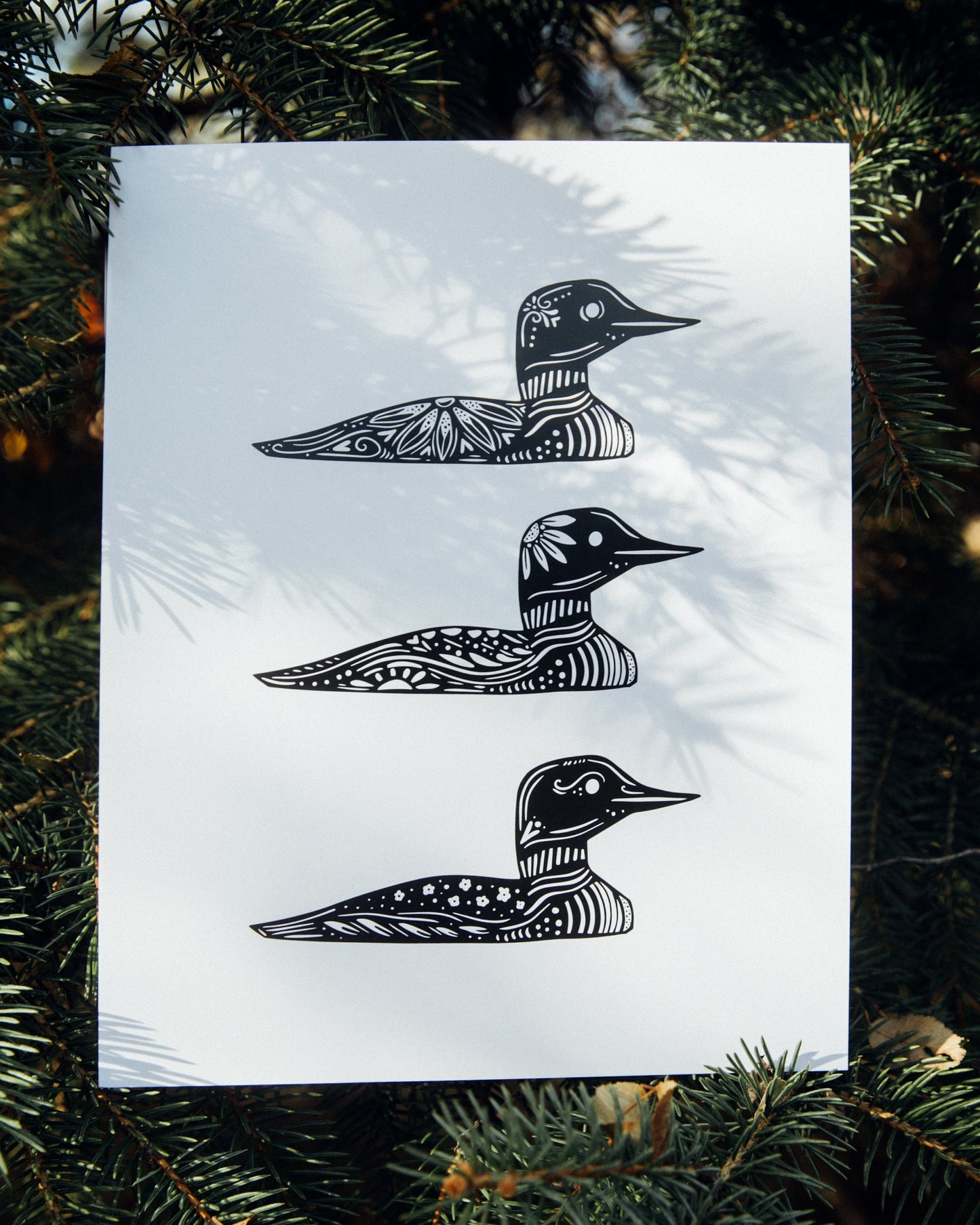 Common Loon - Cabin Art - Cabin Decor - Minnesota Art - Nordic Art - Loon Art