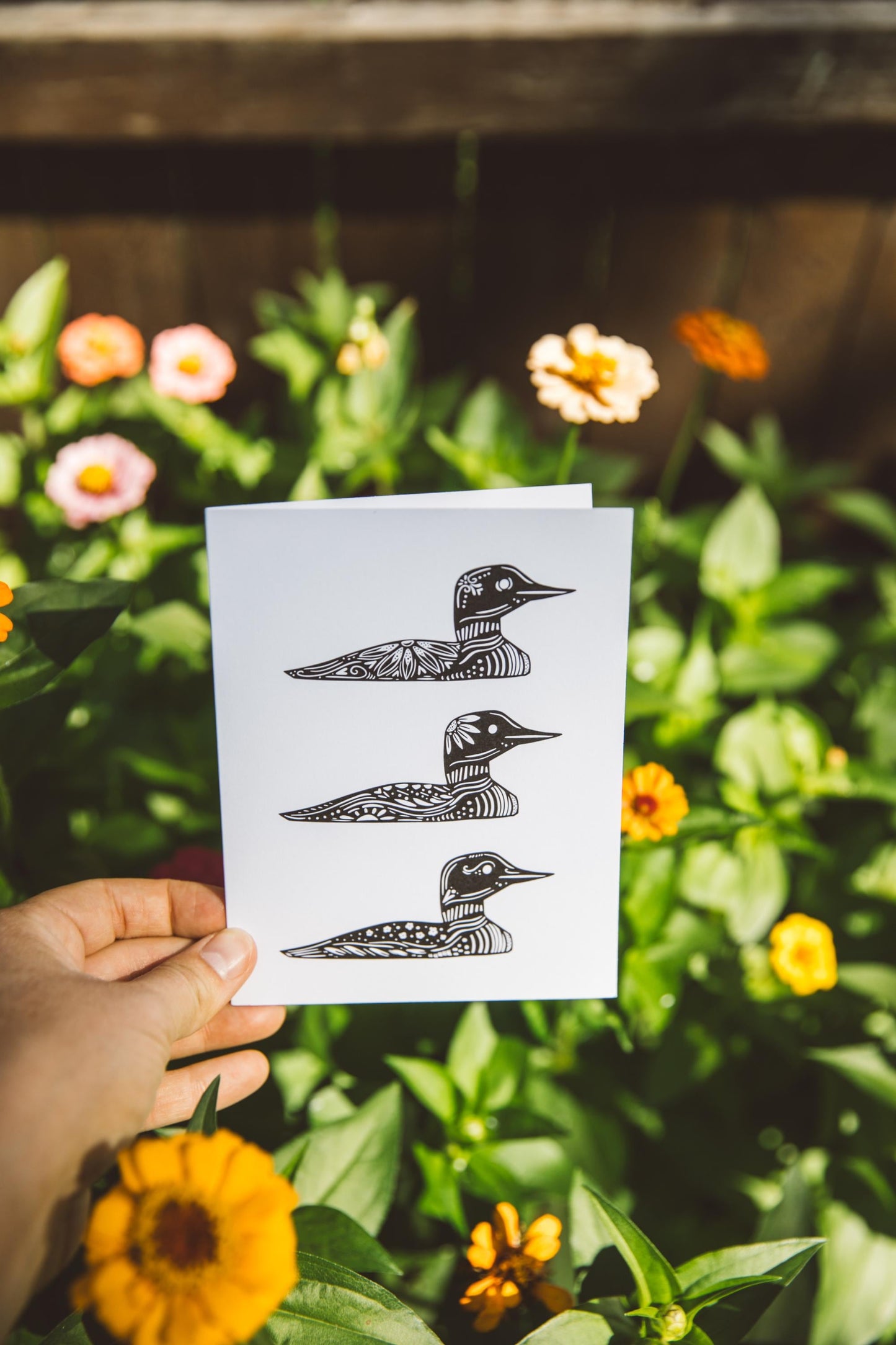 Greeting Card Common Loon - Blank Card - Card - Gift - Minnesota Card